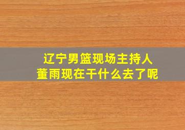 辽宁男篮现场主持人董雨现在干什么去了呢