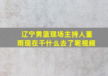 辽宁男篮现场主持人董雨现在干什么去了呢视频