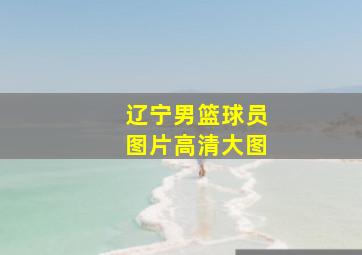 辽宁男篮球员图片高清大图