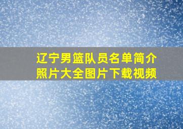 辽宁男篮队员名单简介照片大全图片下载视频