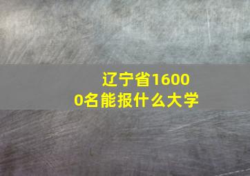 辽宁省16000名能报什么大学