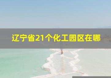 辽宁省21个化工园区在哪