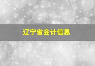 辽宁省会计信息