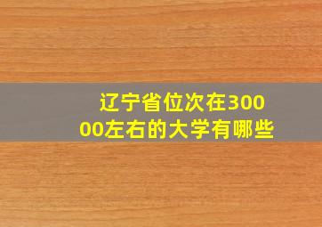 辽宁省位次在30000左右的大学有哪些