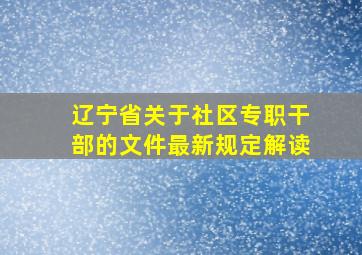 辽宁省关于社区专职干部的文件最新规定解读