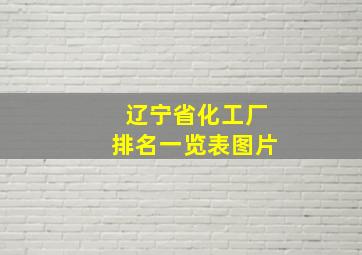 辽宁省化工厂排名一览表图片