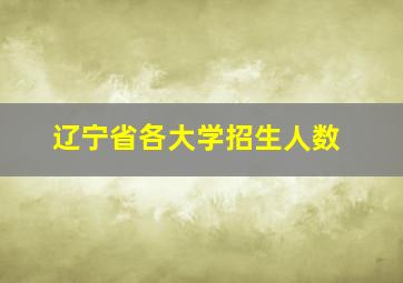 辽宁省各大学招生人数