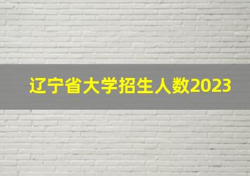 辽宁省大学招生人数2023