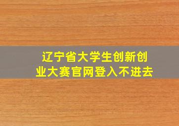 辽宁省大学生创新创业大赛官网登入不进去