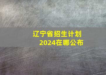 辽宁省招生计划2024在哪公布