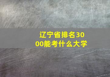 辽宁省排名3000能考什么大学