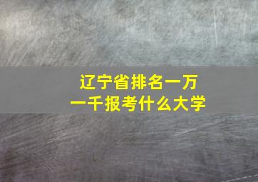 辽宁省排名一万一千报考什么大学