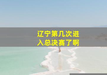 辽宁第几次进入总决赛了啊