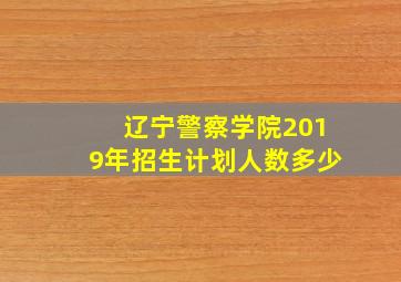 辽宁警察学院2019年招生计划人数多少