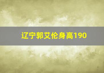 辽宁郭艾伦身高190