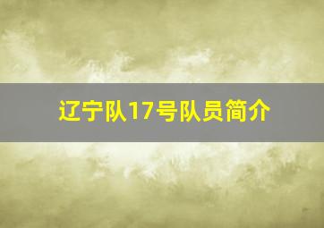 辽宁队17号队员简介