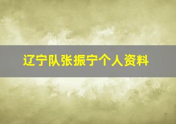 辽宁队张振宁个人资料