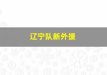 辽宁队新外援