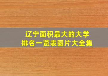 辽宁面积最大的大学排名一览表图片大全集