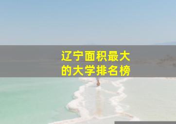 辽宁面积最大的大学排名榜