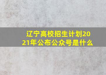 辽宁高校招生计划2021年公布公众号是什么