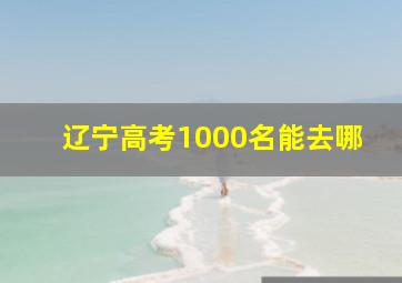 辽宁高考1000名能去哪