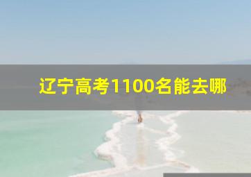 辽宁高考1100名能去哪