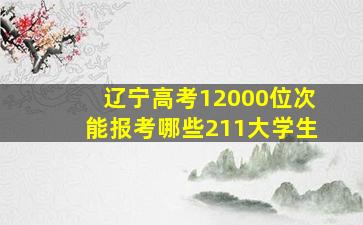 辽宁高考12000位次能报考哪些211大学生