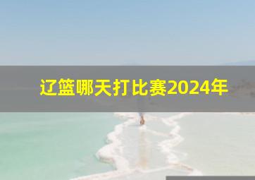 辽篮哪天打比赛2024年