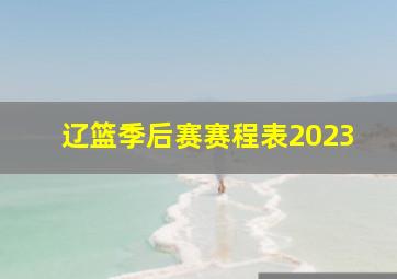 辽篮季后赛赛程表2023