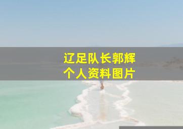 辽足队长郭辉个人资料图片