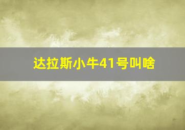 达拉斯小牛41号叫啥