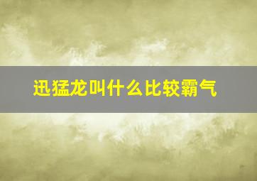 迅猛龙叫什么比较霸气