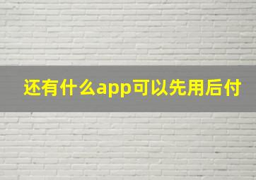 还有什么app可以先用后付