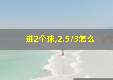 进2个球,2.5/3怎么