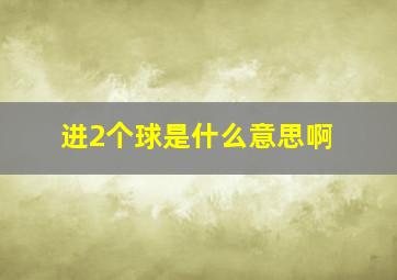 进2个球是什么意思啊