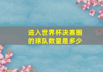 进入世界杯决赛圈的球队数量是多少