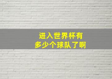 进入世界杯有多少个球队了啊