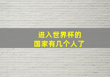 进入世界杯的国家有几个人了