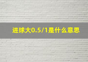 进球大0.5/1是什么意思