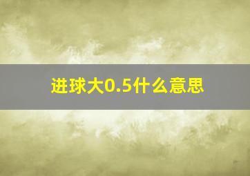 进球大0.5什么意思