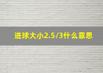 进球大小2.5/3什么意思