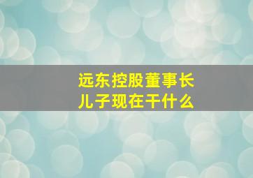 远东控股董事长儿子现在干什么