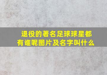 退役的著名足球球星都有谁呢图片及名字叫什么