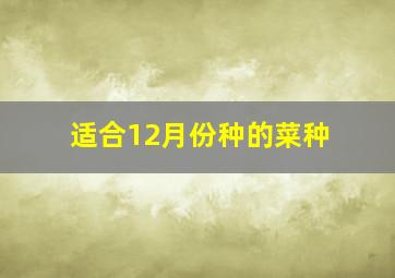 适合12月份种的菜种