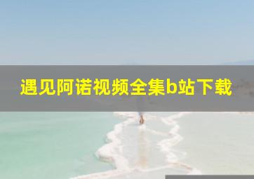 遇见阿诺视频全集b站下载