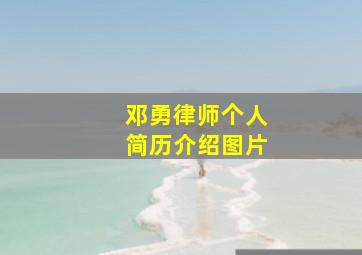 邓勇律师个人简历介绍图片