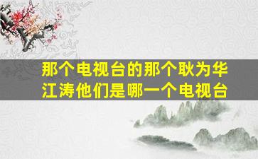 那个电视台的那个耿为华江涛他们是哪一个电视台