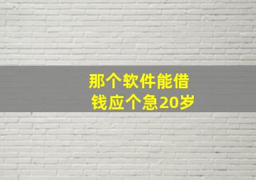 那个软件能借钱应个急20岁