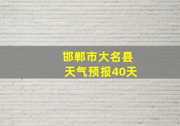 邯郸市大名县天气预报40天